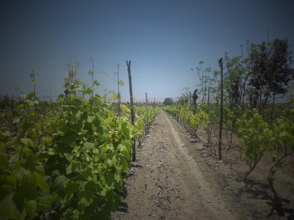 Nuevo Imperial La Vina De Oscarゲストハウス エクステリア 写真